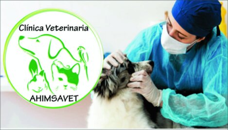 farmacia hay de toda verga venga y vera¡¡
